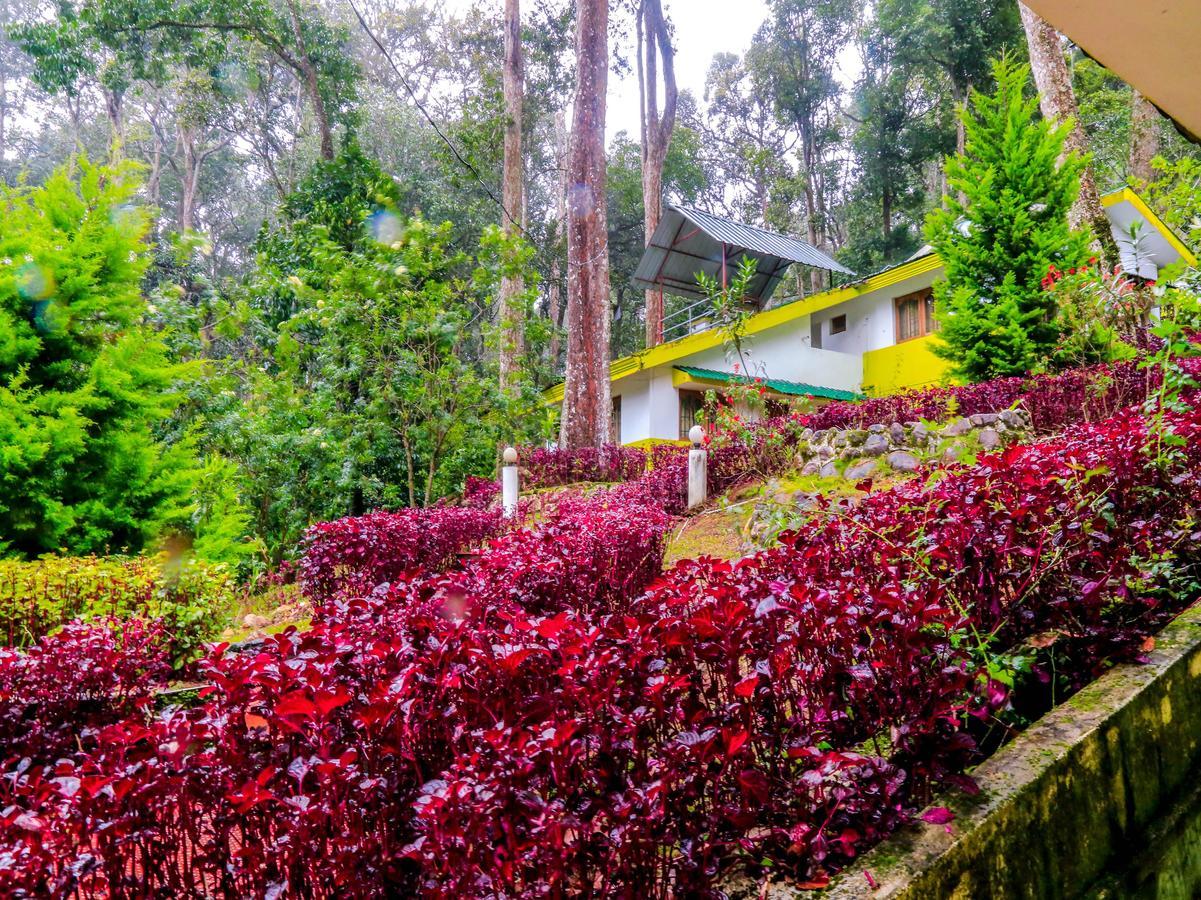 Oyo 4651 Woodpecker Resort Munnar Luaran gambar