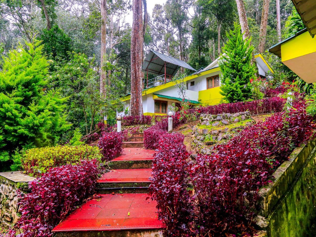 Oyo 4651 Woodpecker Resort Munnar Luaran gambar